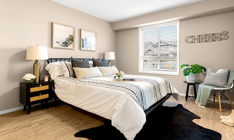 Pet-Friendly One Bed...