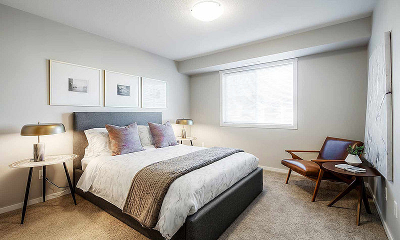 Pet-Friendly One Bed...