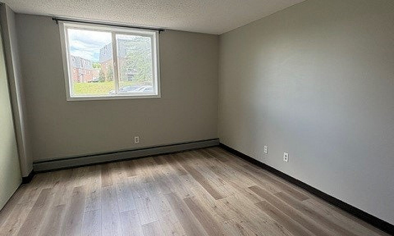 1 Bed 1 Bath Unit In...