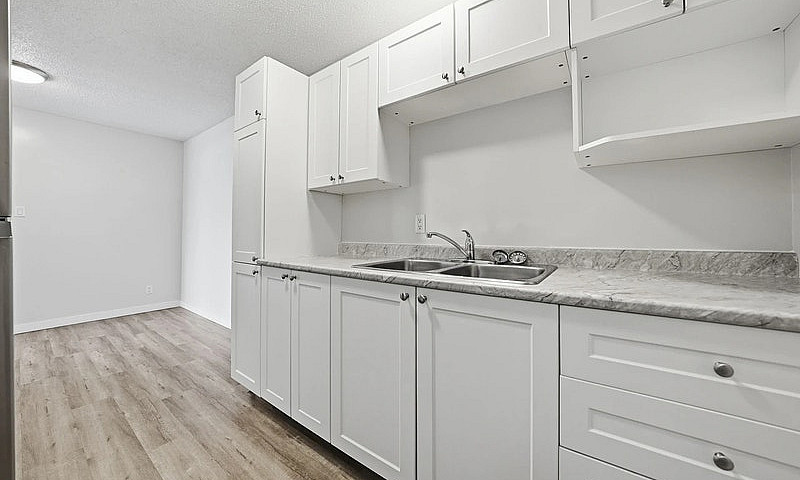 Modern Apartments Wi...