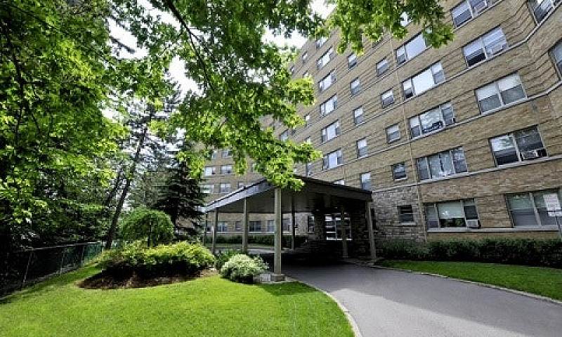 Beautiful 1 Bedroom ...