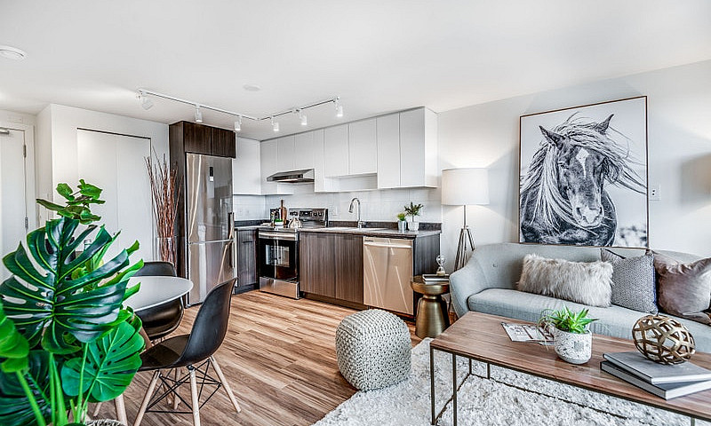 Apartment For Rent A...