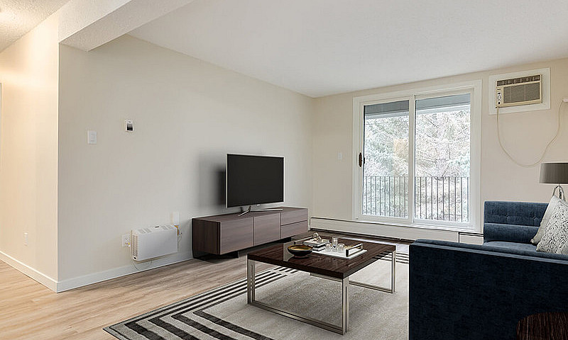 Modern Apartments Wi...