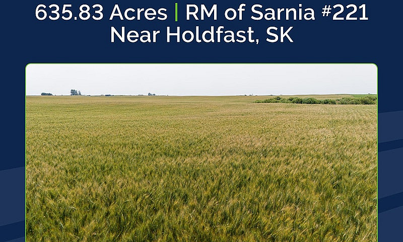 4 Quarters Of Produc...