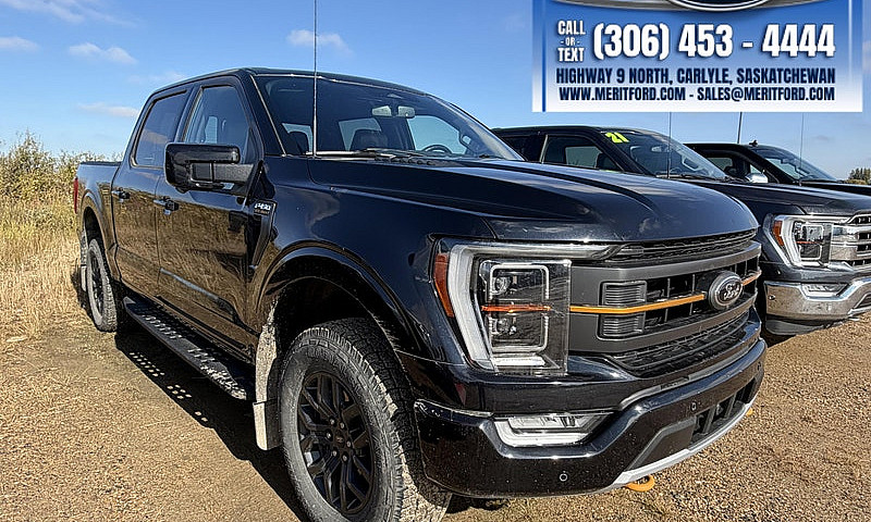 2023 Ford F-150 Trem...