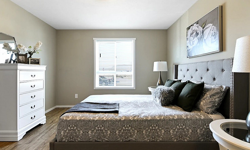 Pet-Friendly One Bed...