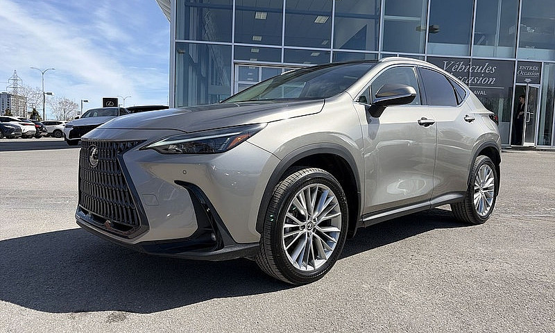 2023 Lexus Nx 350 Lu...