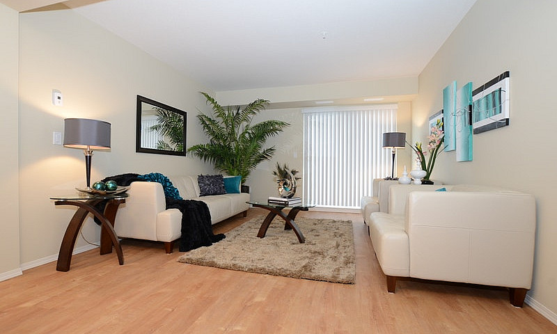 Pet-Friendly Three B...