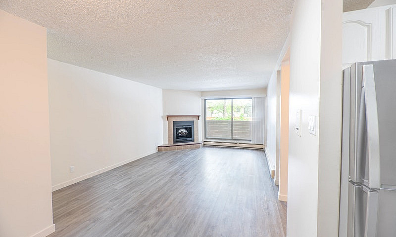 Bachelor, 1 Bedroom ...