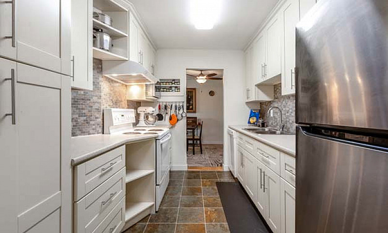 Freshly Renovated & ...