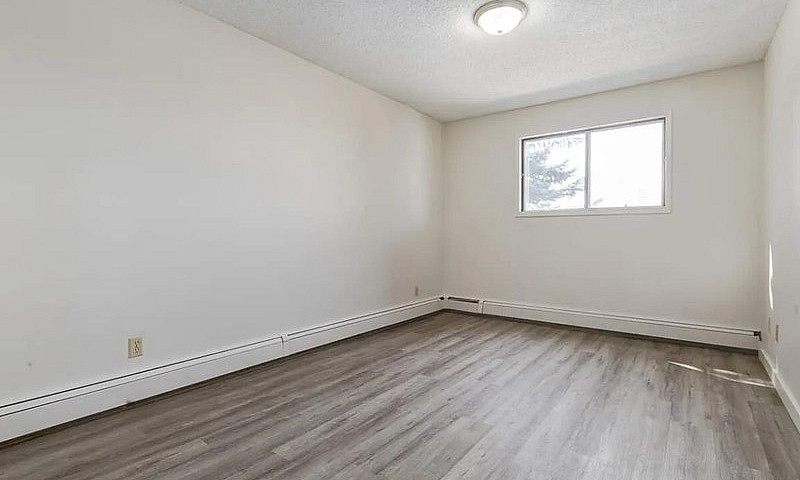 Modern Apartments Wi...