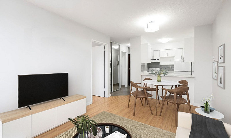 Harbourview - 1 Bedr...