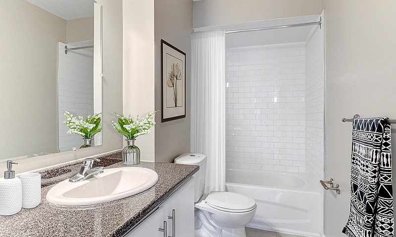 1 Bedroom, 1 Bathroo...
