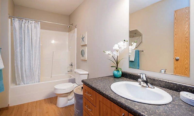 Pet-Friendly Two Bed...