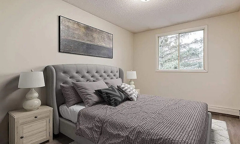 Modern Apartments Wi...
