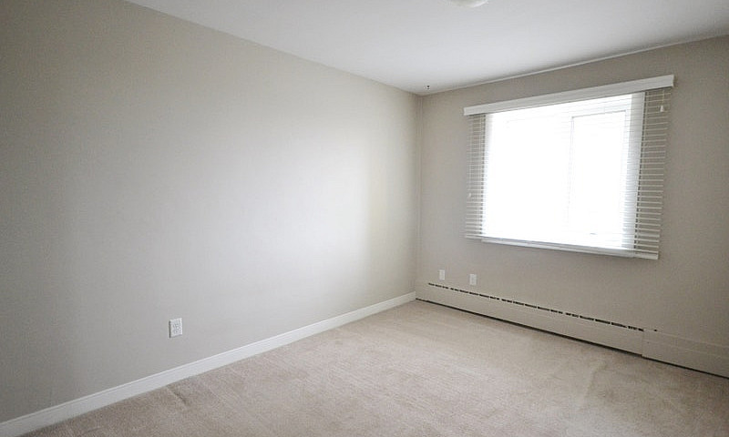 Bright And Renovated...