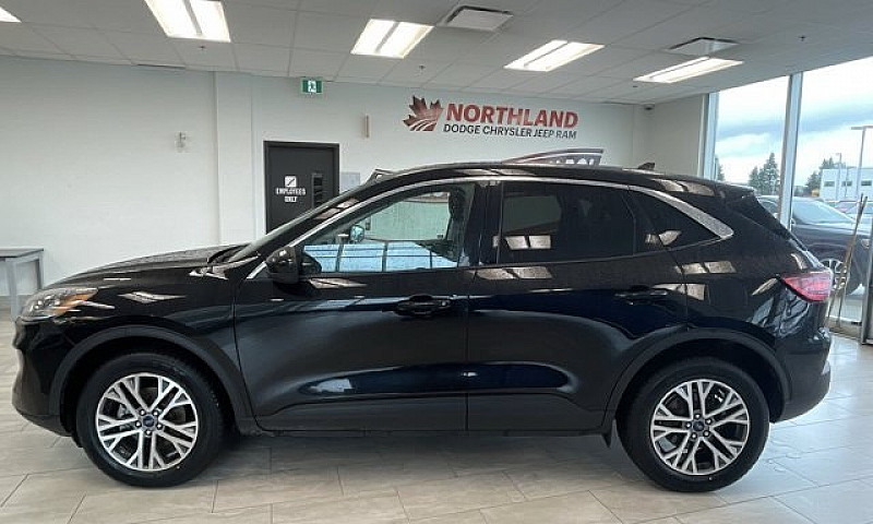 2022 Ford Escape Sel...