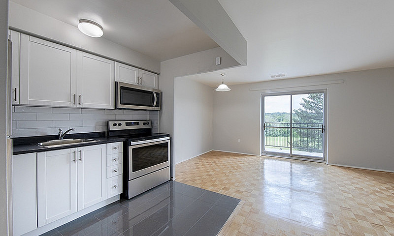 1 Bedroom Apartment ...