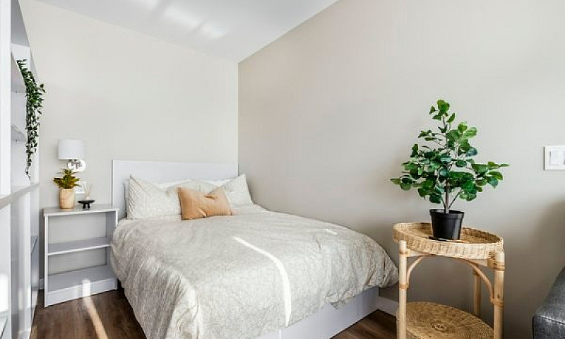 Stylish Studio, Furn...