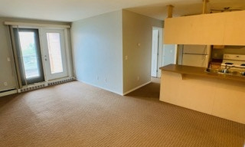214-8219 Fraser Ave...