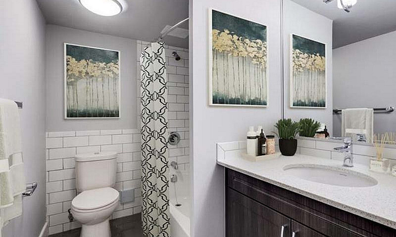 Bachelor Apartment F...