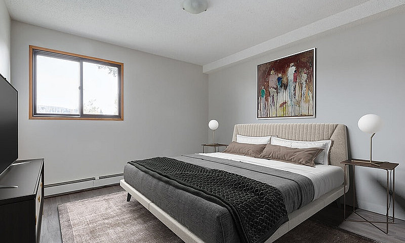 Modern Apartments Wi...