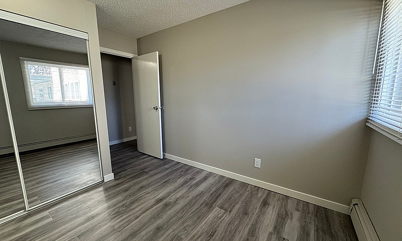 Amazing 2 Bedroom  A...