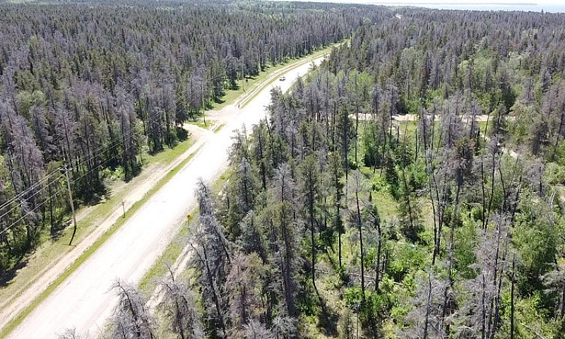 Stunning 1.09Acre Pr...