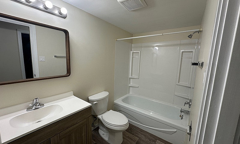 1 Bedroom 1 Bath Apa...