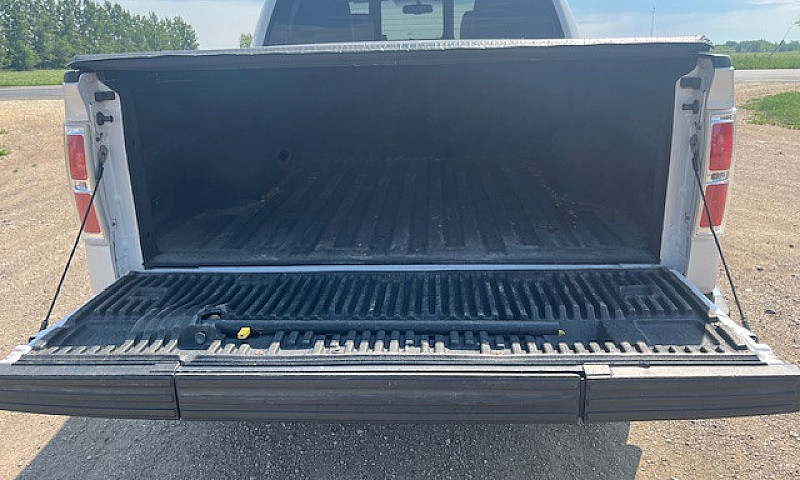 2010 Ford F150 Laria...