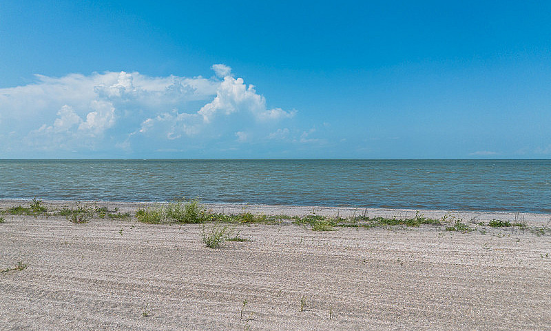 Lot For Sale: 1444 T...