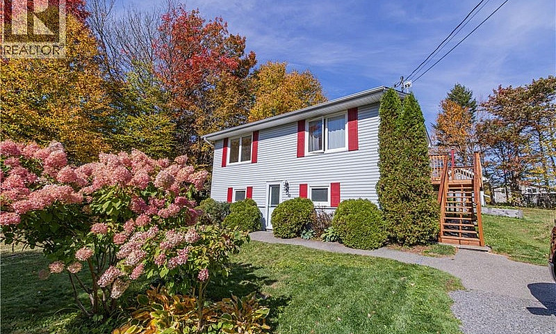 10 Birch Lane Willow...