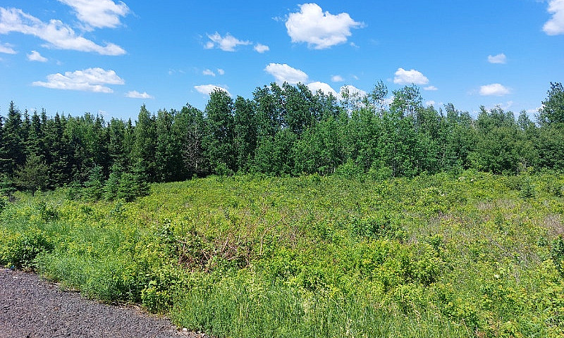 2.5 Acre Building Lo...
