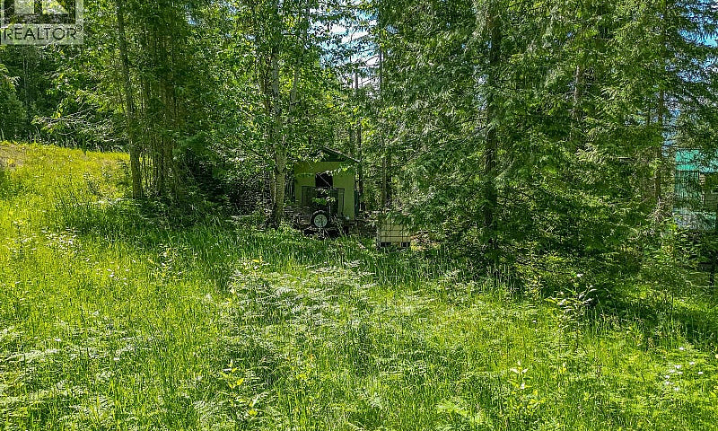 98 Dolly Varden Road...