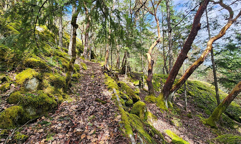 Elevated Acreage Wit...