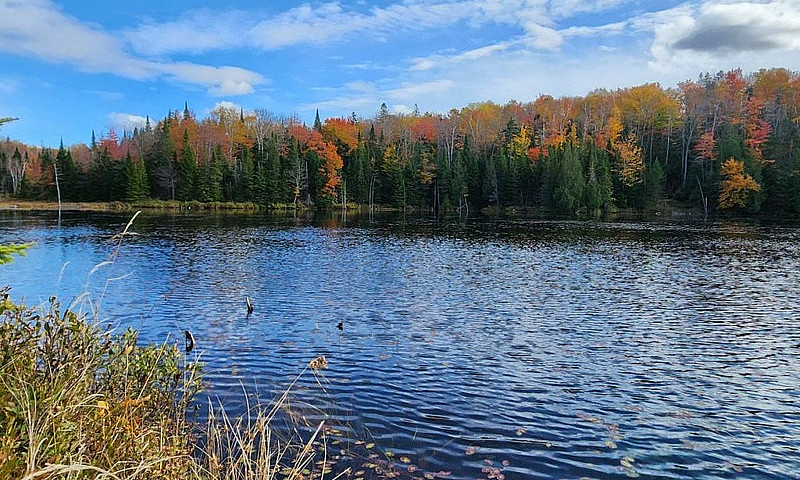 $699,999 - Land To B...