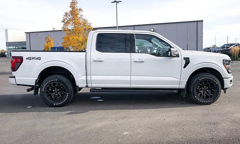 2024 Ford F-150 Xlt ...