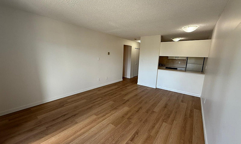 2 Bedroom 1 Bath – $...