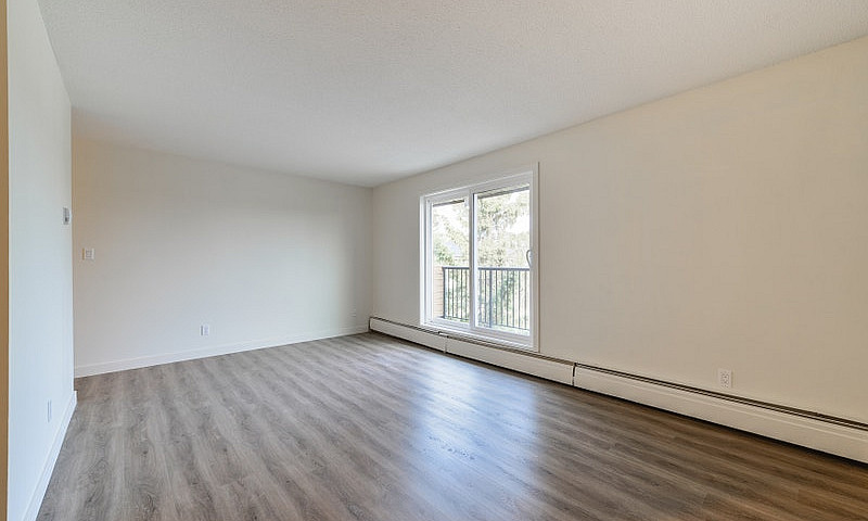 2 Bedroom Basement P...