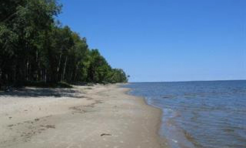 Lake Of Woods @ Buff...