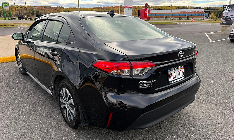 2026 Toyota Corolla ...