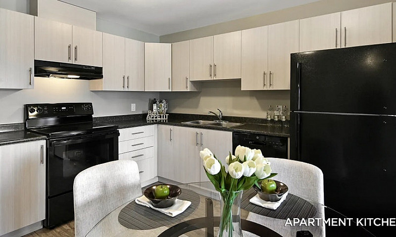 Pet-Friendly One Bed...