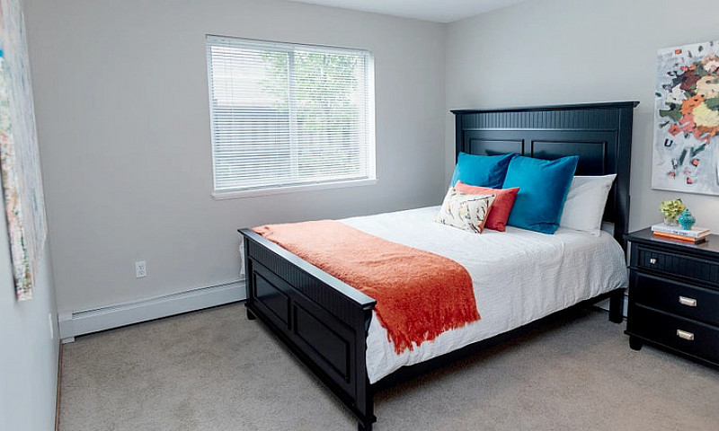 Pet-Friendly Two Bed...