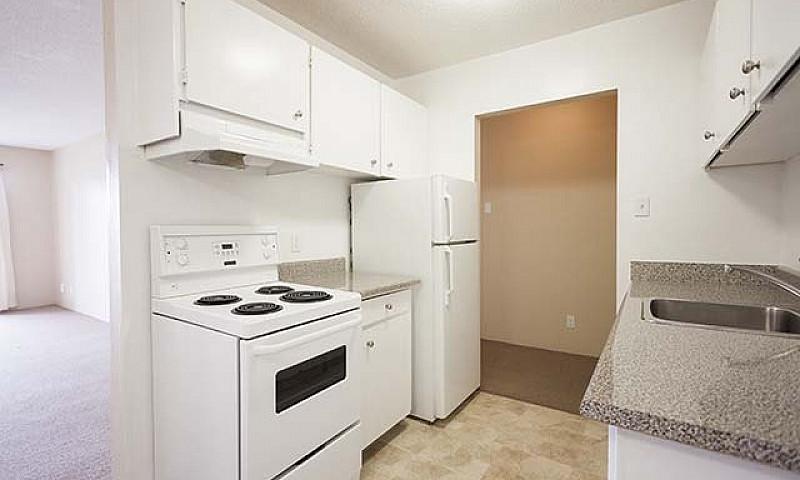 Mayfair Manor Apartm...