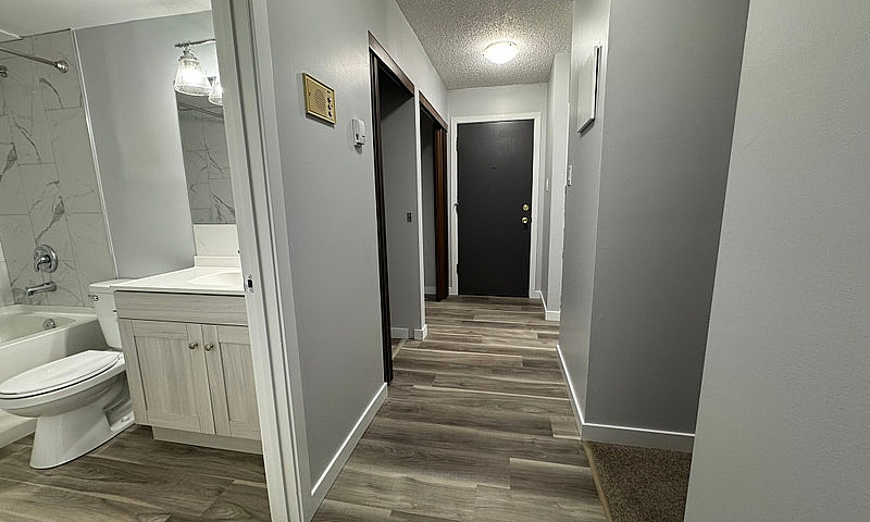 2 Weeks Free Renovat...