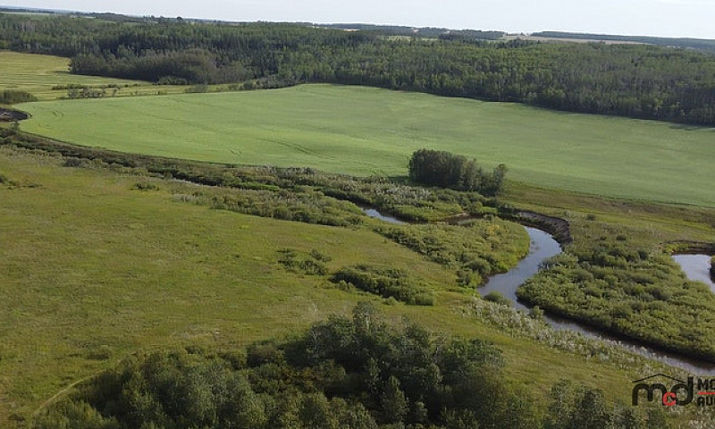 20306 43.9 Acre Grav...