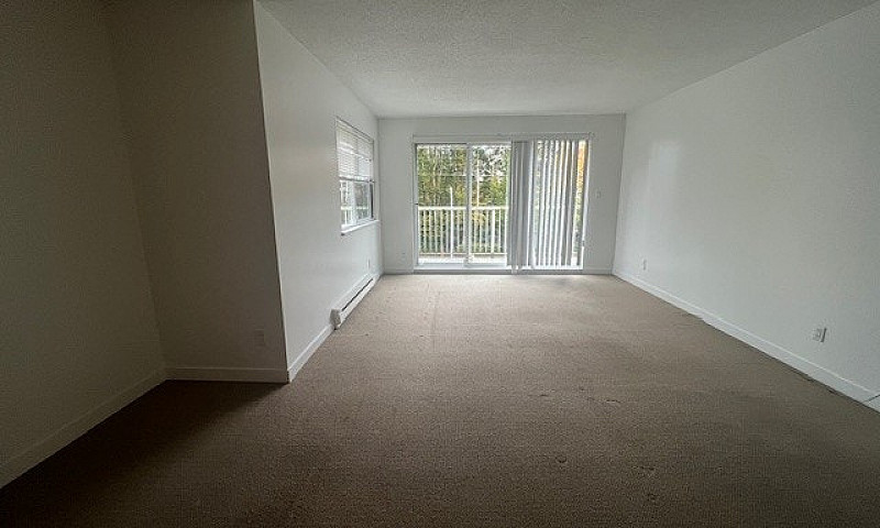 Top Floor 2 Bedroom ...