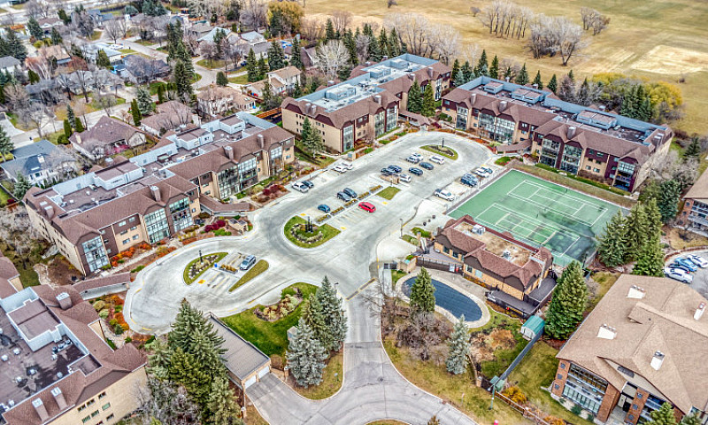 Pet-Friendly Condo I...