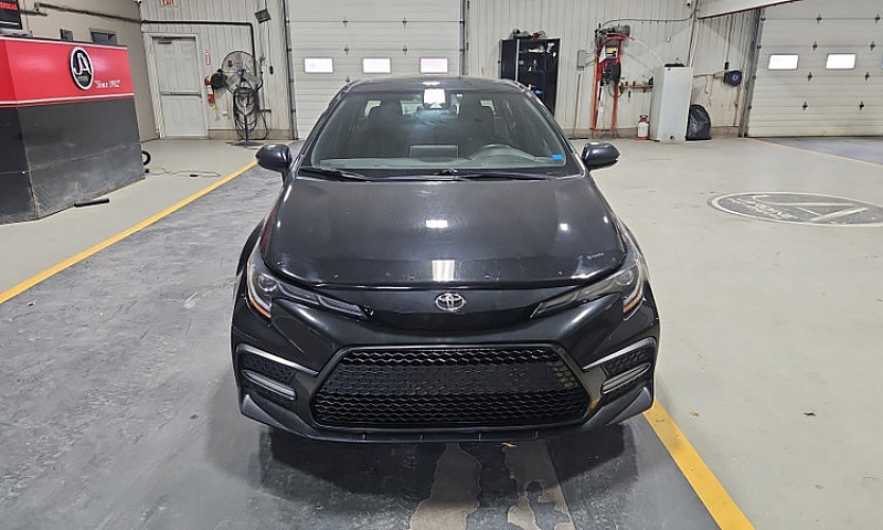2020 Toyota Corolla...