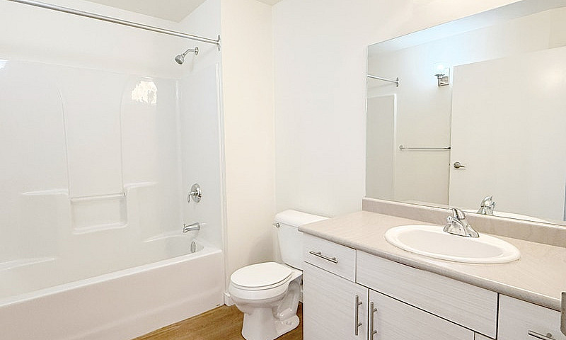 Dalhousie - 1 Bed / ...